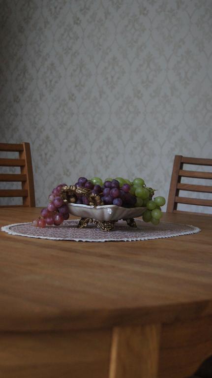 팔랑가 Vienaragio Apartamentai 아파트 외부 사진